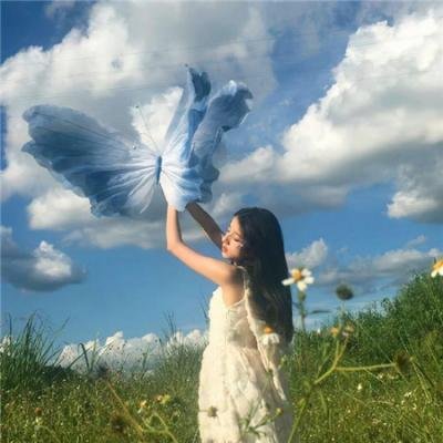 一号档案守护者 在线观看